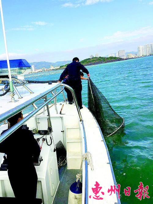 ������Ա�����Ƿ������Ͷ�������