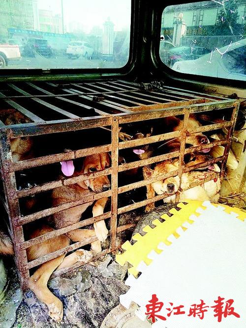 ��͵�ߵĹ����������
